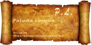 Paluska Levente névjegykártya